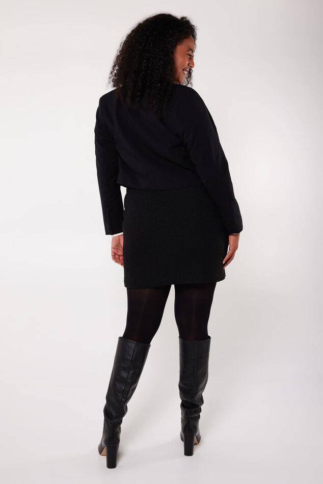 Blazer cropped image number 3