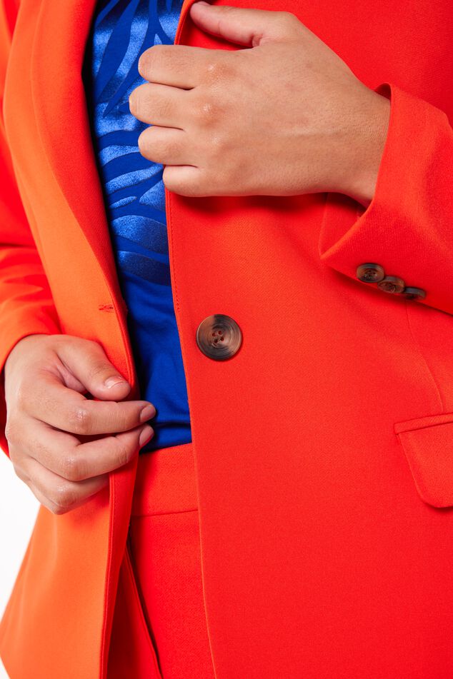 Blazer  image number 5