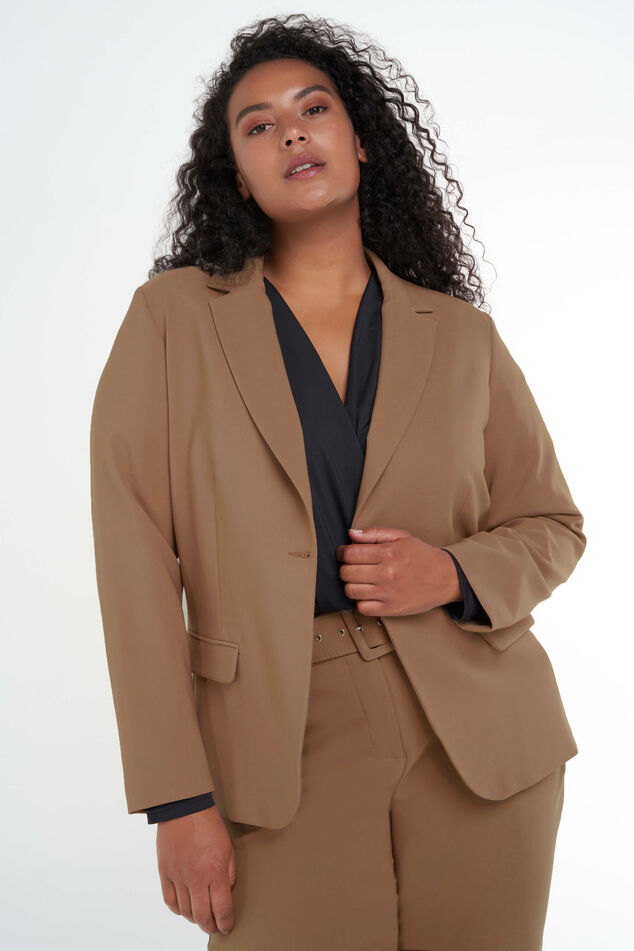 Blazer  image number 0