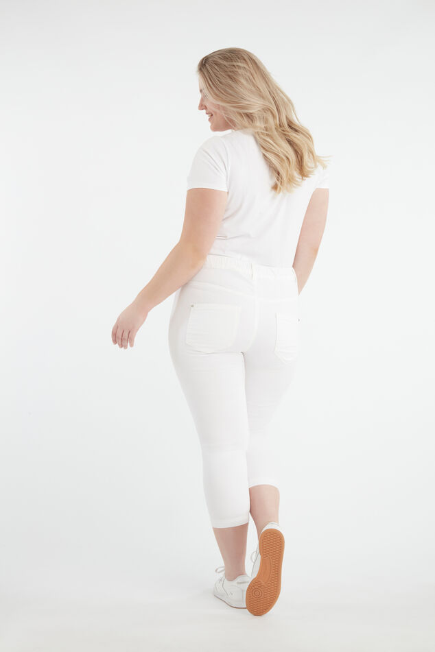 Tregging 7/8e coupe slim POPPY image number 5