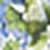 Multi Green Multi Green