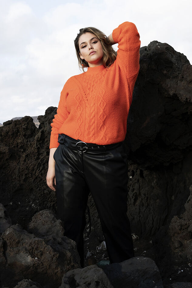 Pull en maille torsadée image number 0