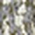 Multi Khaki Multi Khaki