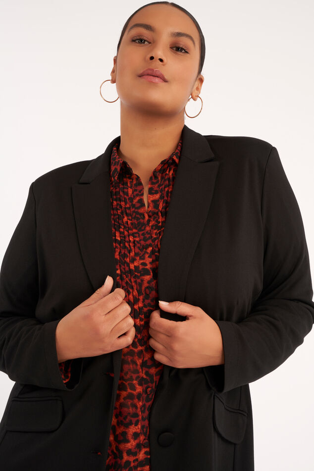 Blazer long image number 4