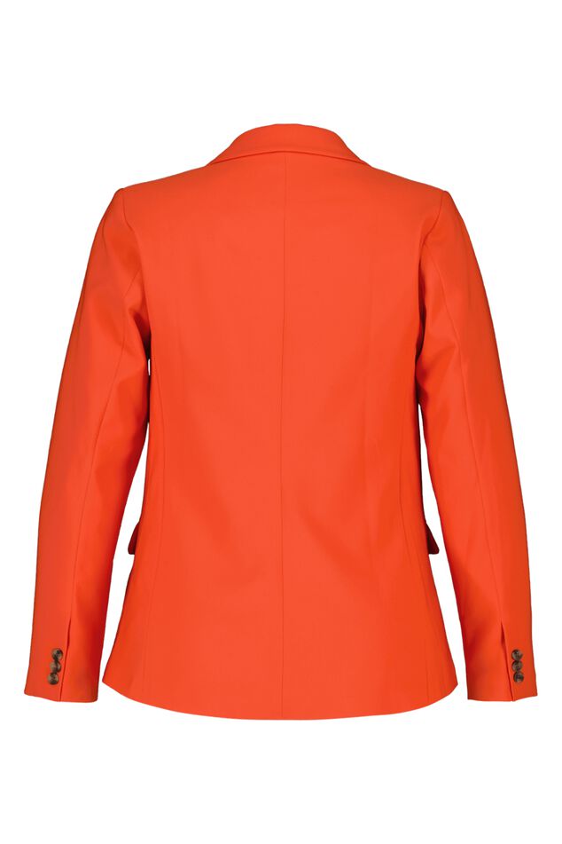 Blazer  image number 3