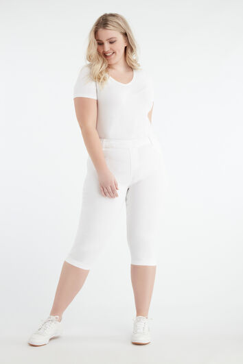 Tregging court POPPY