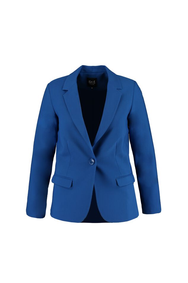 Blazer     image number 2