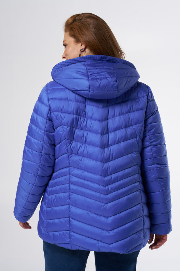 Veste matelassée à capuche  image number 3