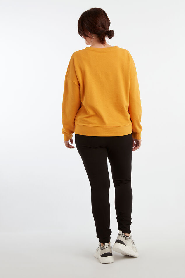 Pull  image number 4