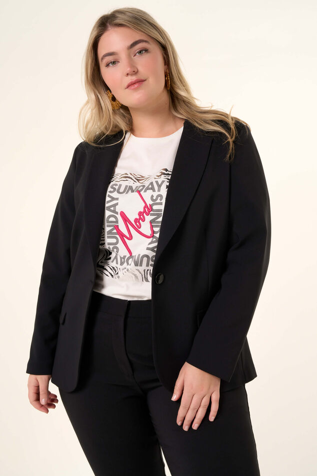 Blazer  image number 0