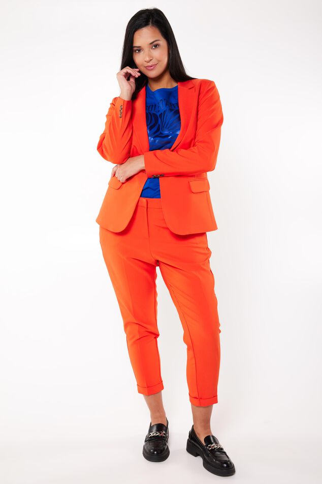 Blazer  image number 0