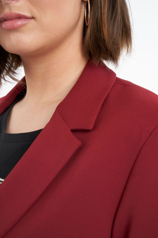 Blazer  image number 5