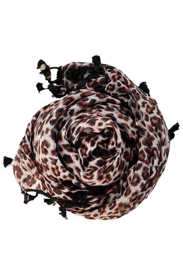 Paréo image number 2