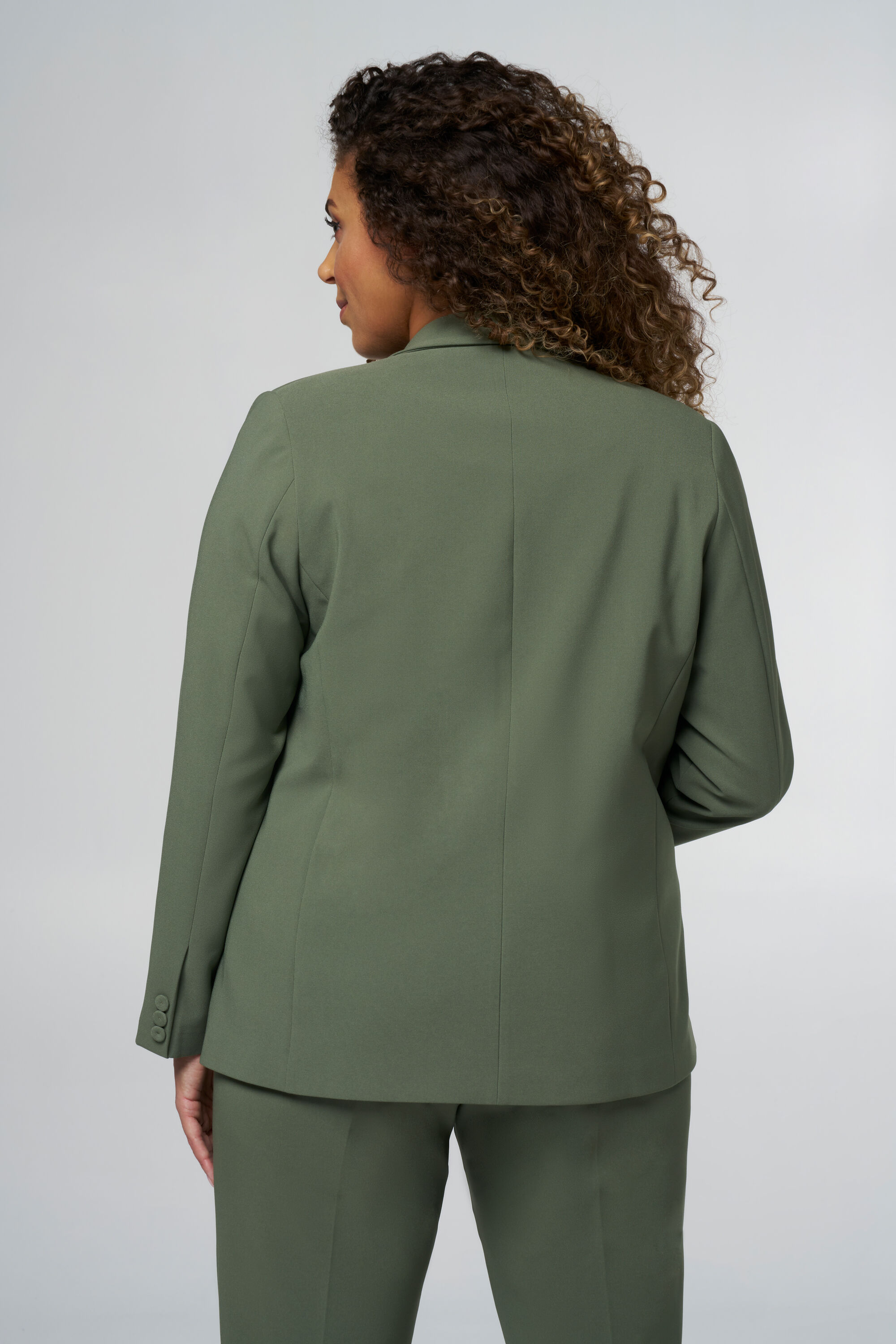 Blazer extensible image number 3