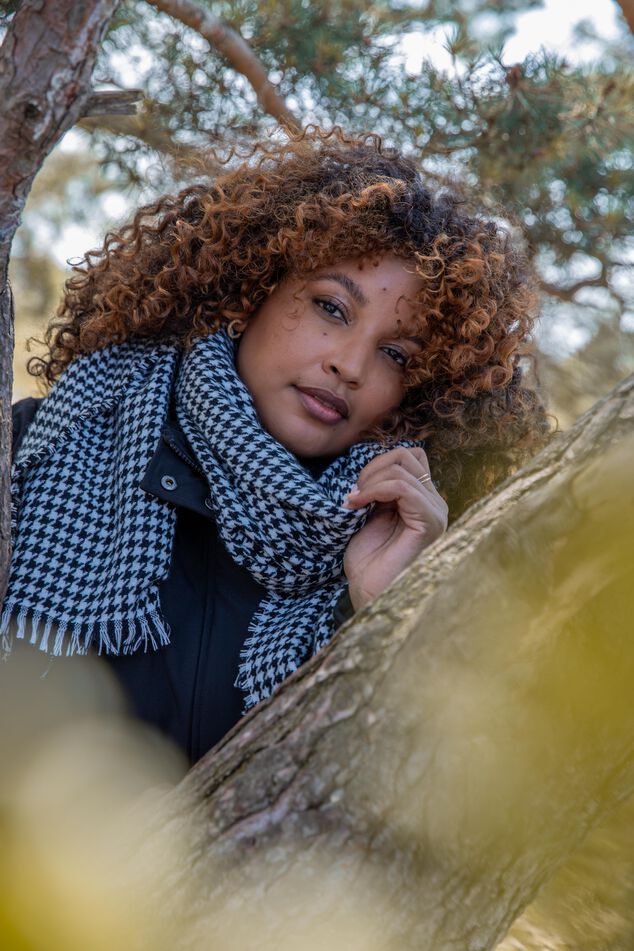 Écharpe à imprimé pied-de-poule image number 0